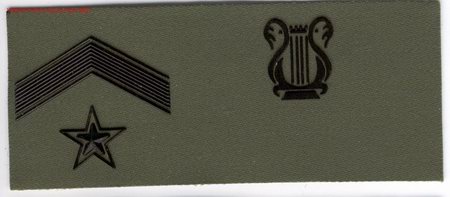 Militaria: PARCHE EMBLEMA TIRA DE PECHO VERDE SUBTENIENTE M&Uacute;SICA.